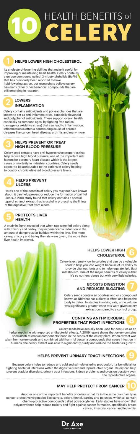 celery royal dial|Celery: Benefits, Nutrition, and Uses .